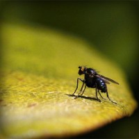/album/znkqix/photolia-a07-jpg/